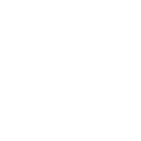 pl holehan white logo image