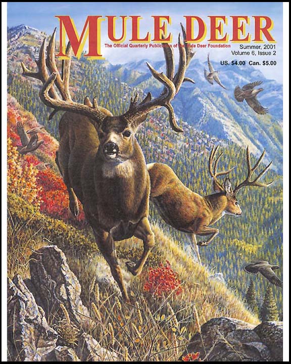 mule deer cover image